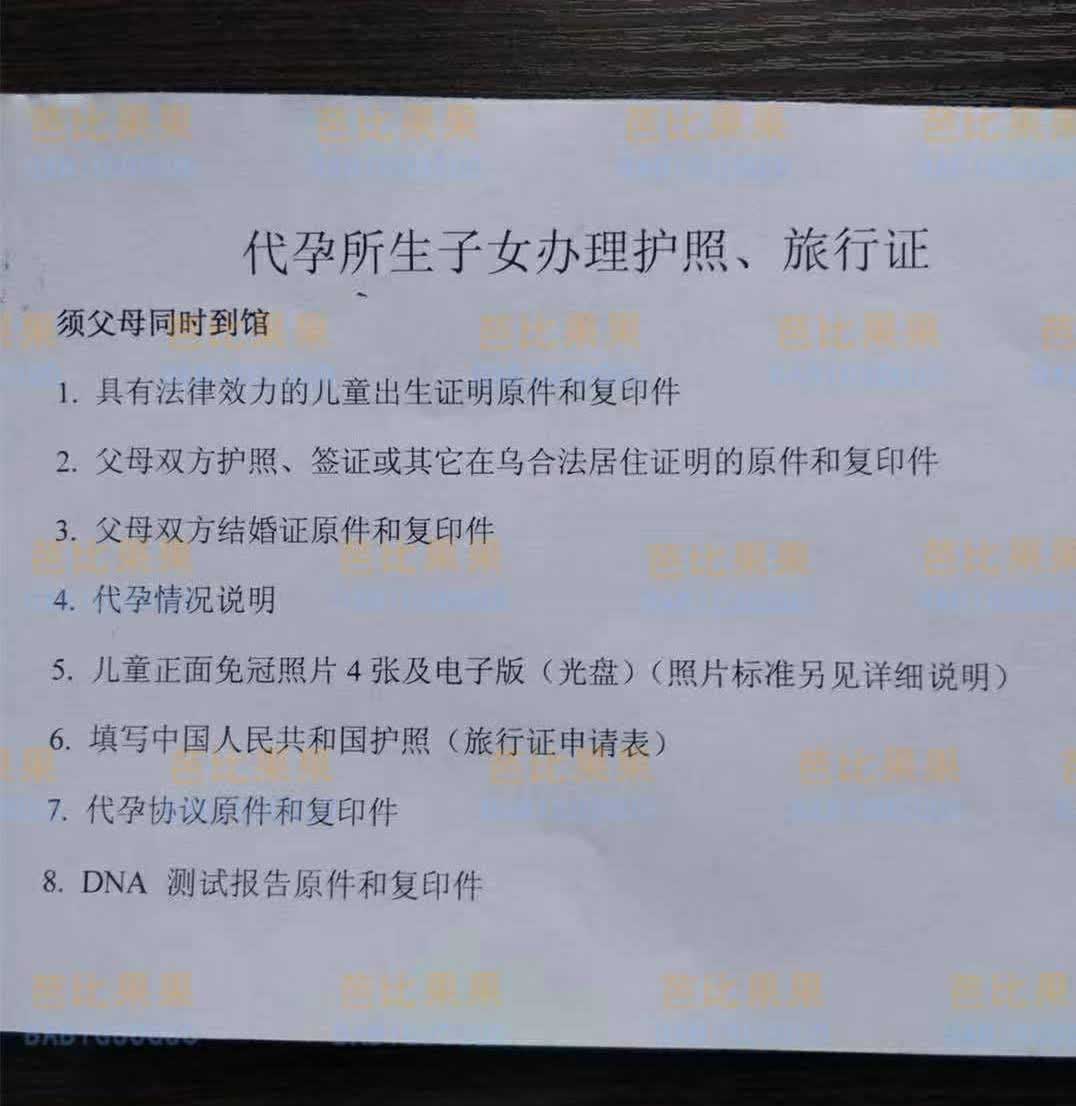 护照，旅行证手续