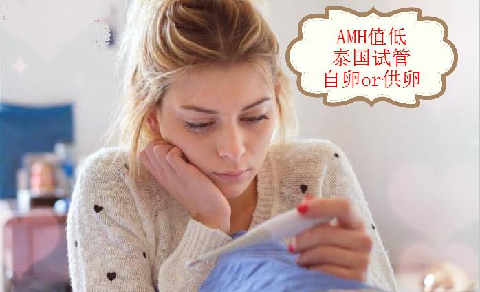 泰国试管婴儿医疗费用