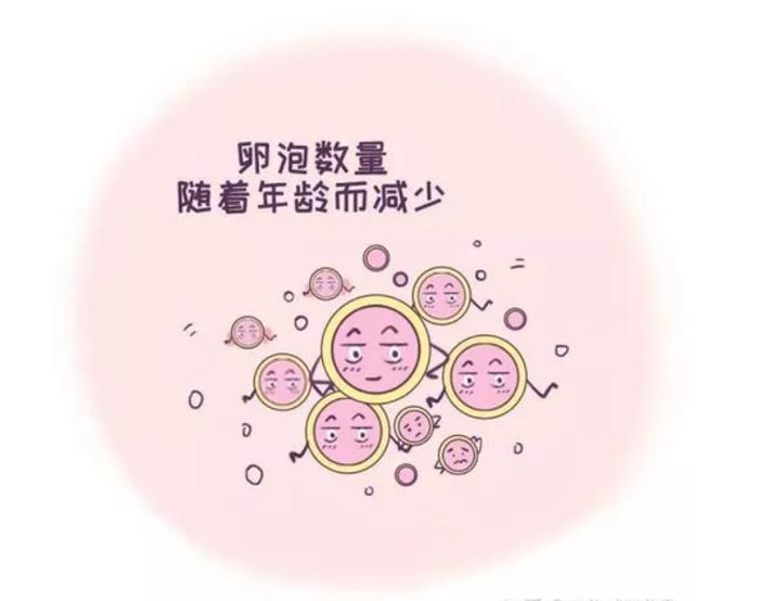 宫颈糜烂做格鲁吉亚试管